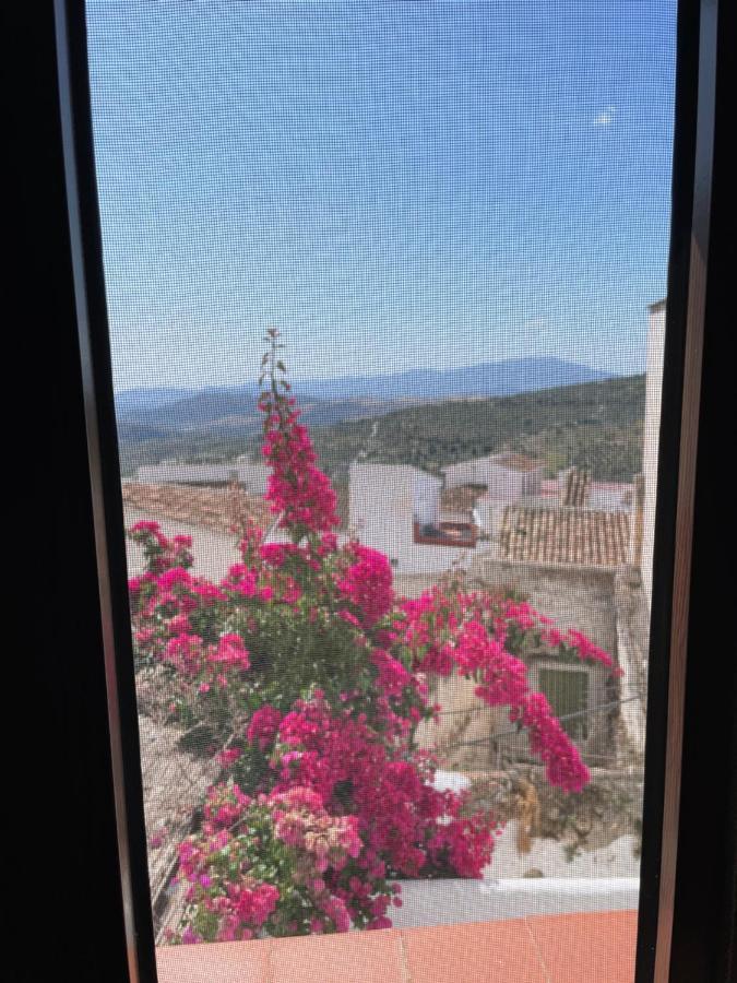 카사라보넬라 Casa La Vista 아파트 외부 사진